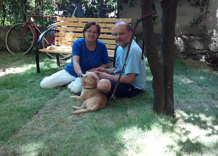 Aladino 3*